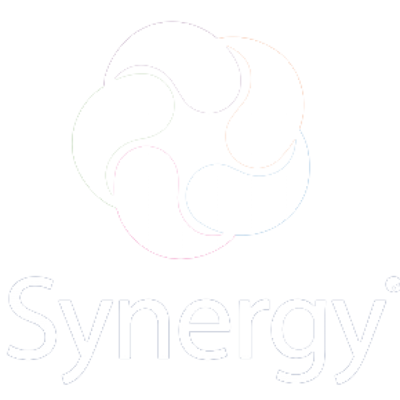Synergy Logo
